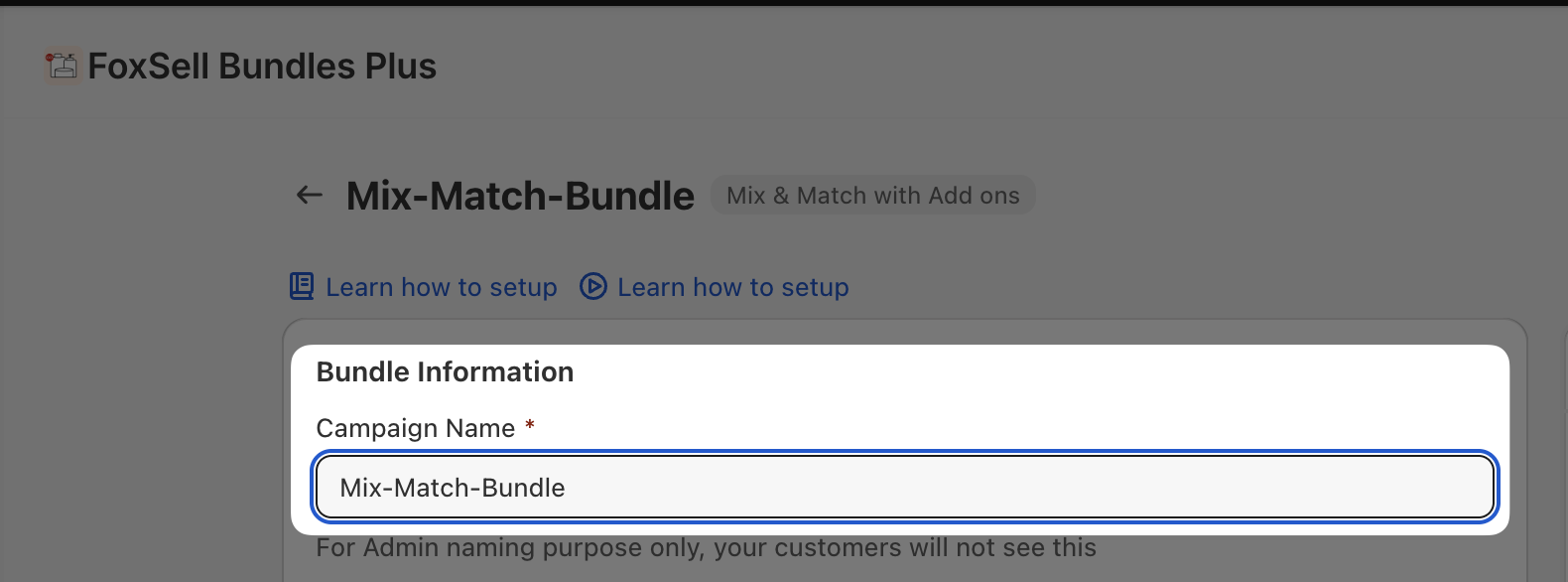 Bundle Information section with Campaign Name field