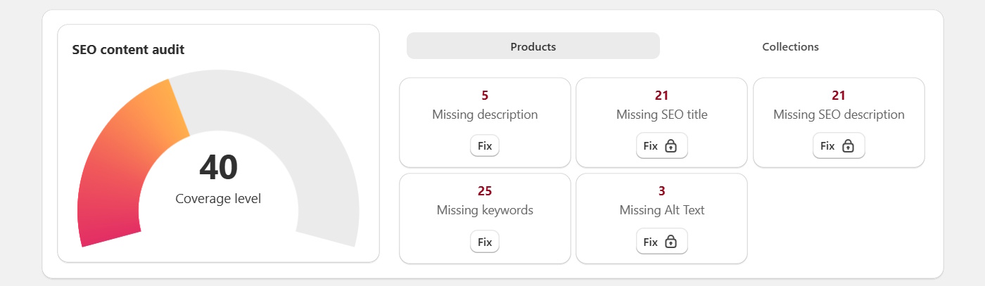 seo-audit