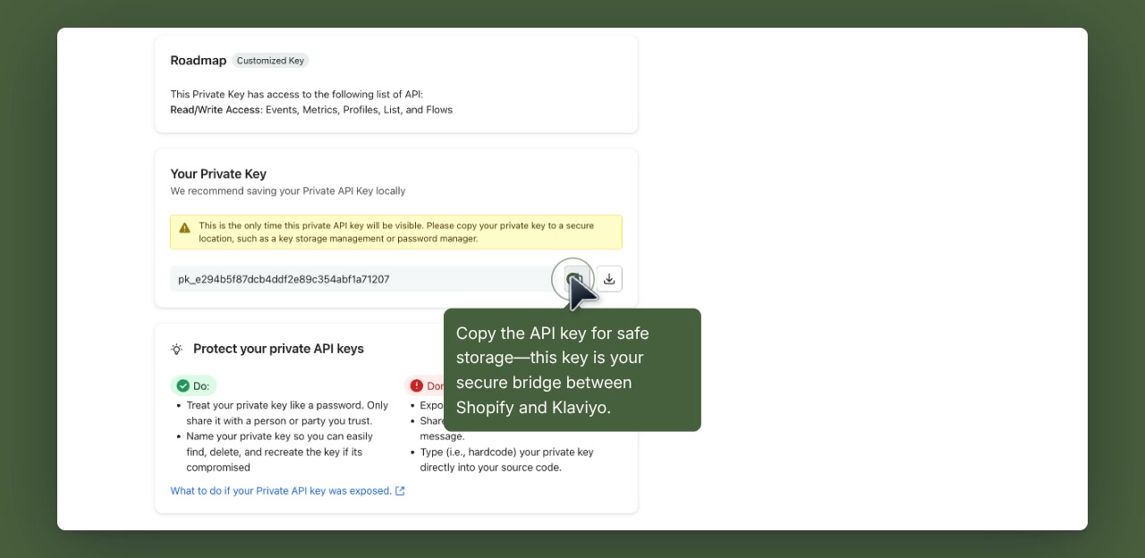 Roadmap Settings with the Klaviyo tab and the Klaviyo API Key field plus Save button